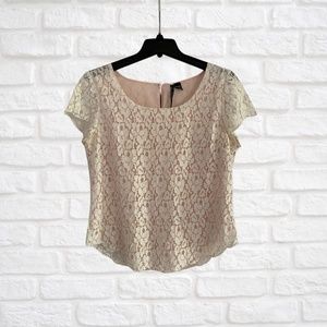 Lace T-Shirt Blouse